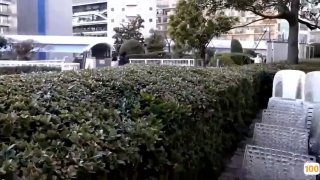 一区龙之召唤提布